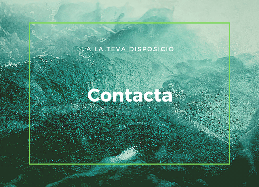 contacta
